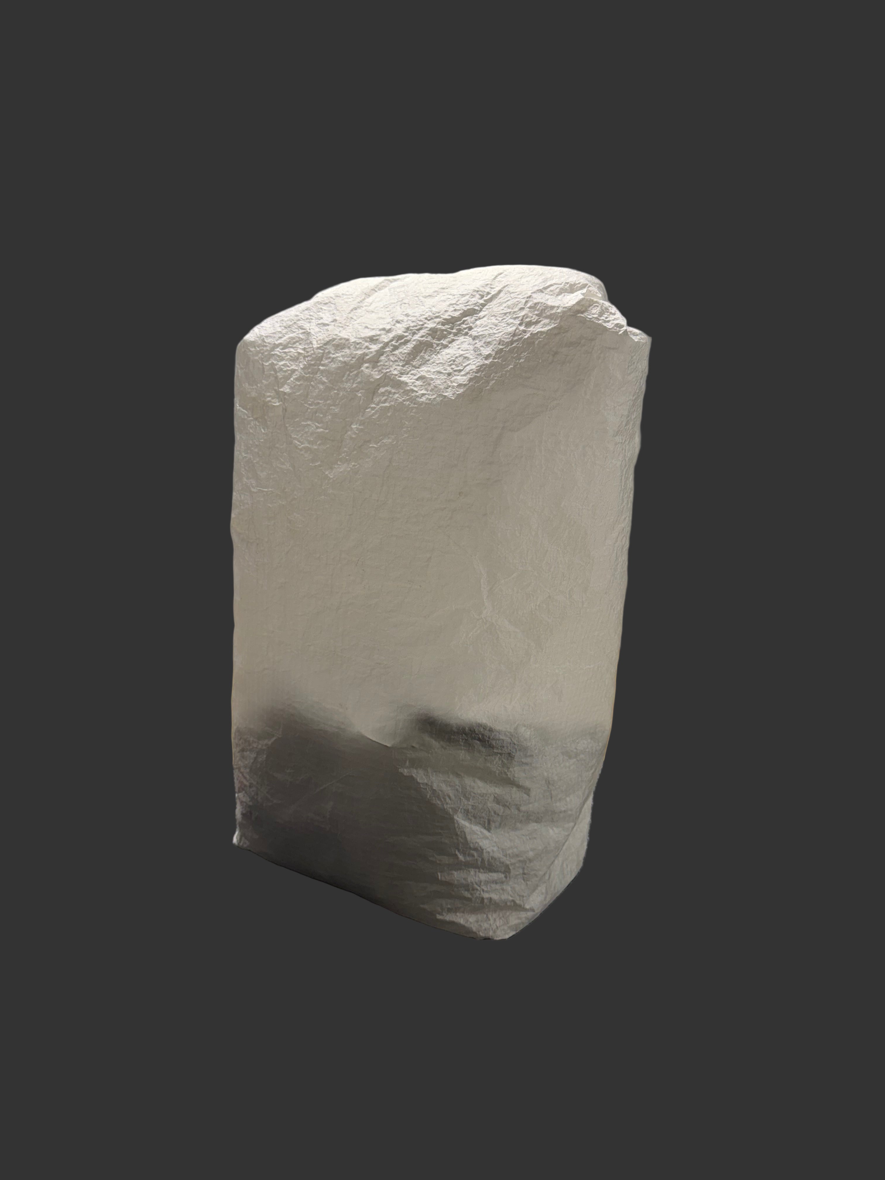 Ultralight Pack Liner